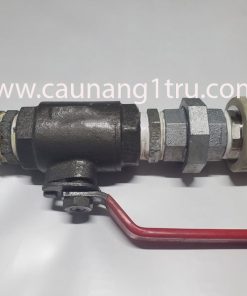 van-dau-cau-nang-1-tru-viet-nam