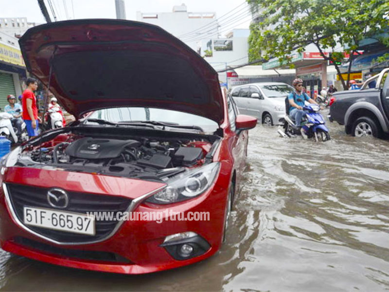 cach-nhan-biet-xe-bi-thuy-kich-la-nhu-the-nao-3
